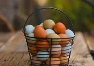 Annoncer sa grossesse avec l'oeuf
