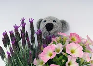 Annoncer sa grossesse avec petit mot de bébé